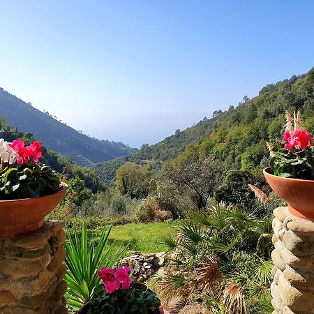 Agriturismo Costa Di Campo Villa Vernazza Kültér fotó