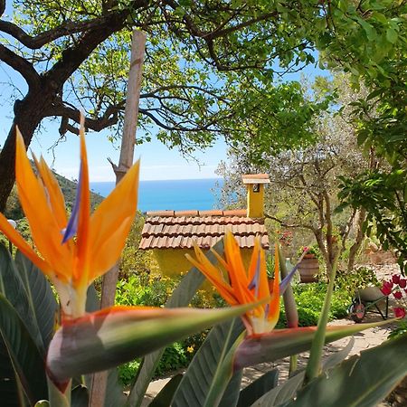 Agriturismo Costa Di Campo Villa Vernazza Kültér fotó