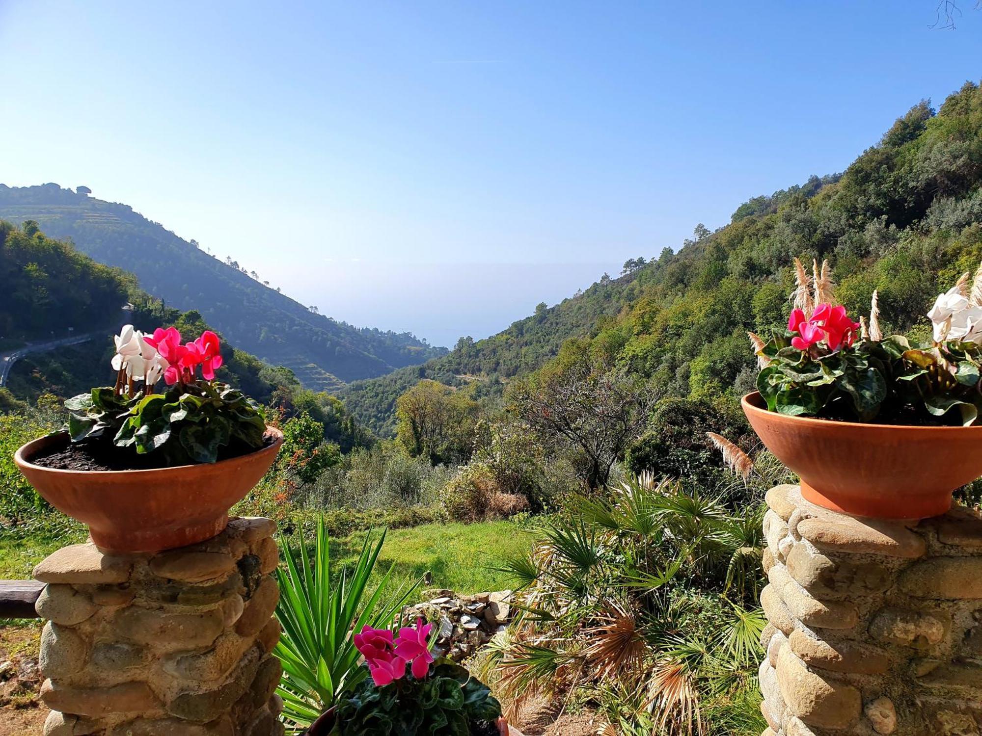 Agriturismo Costa Di Campo Villa Vernazza Kültér fotó