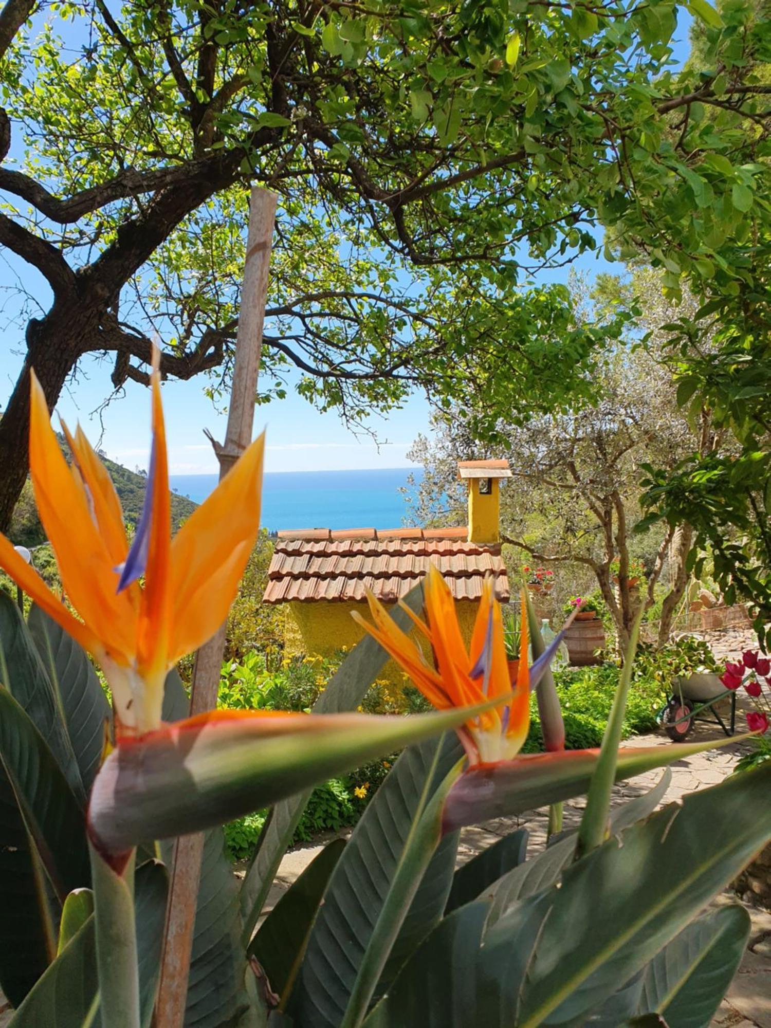 Agriturismo Costa Di Campo Villa Vernazza Kültér fotó