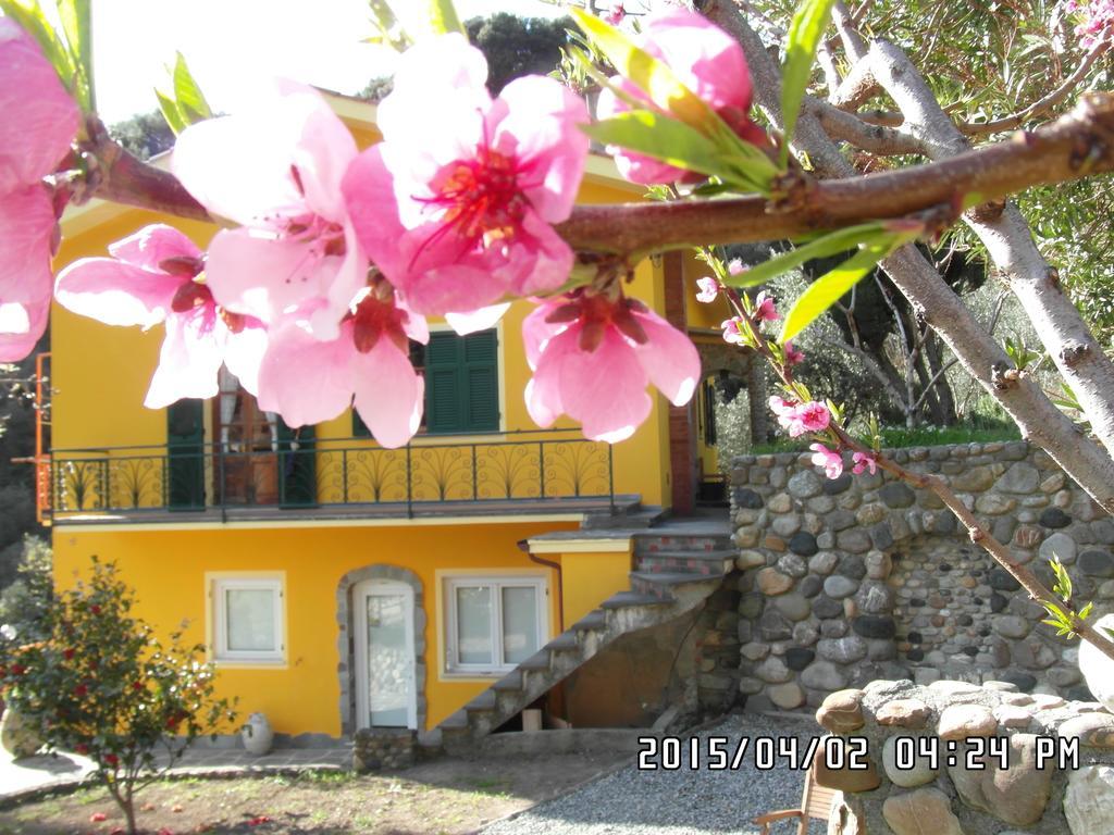 Agriturismo Costa Di Campo Villa Vernazza Kültér fotó