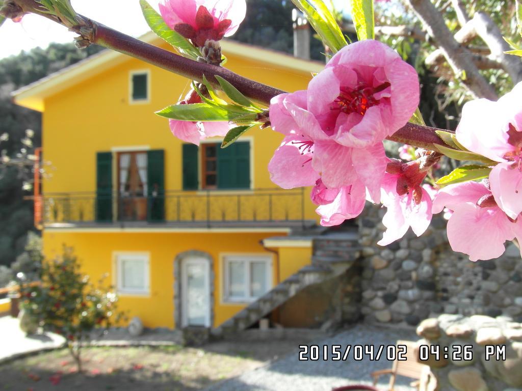 Agriturismo Costa Di Campo Villa Vernazza Kültér fotó