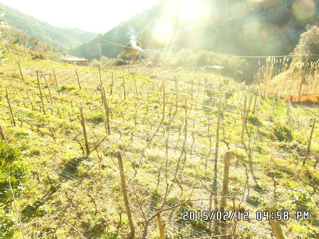 Agriturismo Costa Di Campo Villa Vernazza Kültér fotó