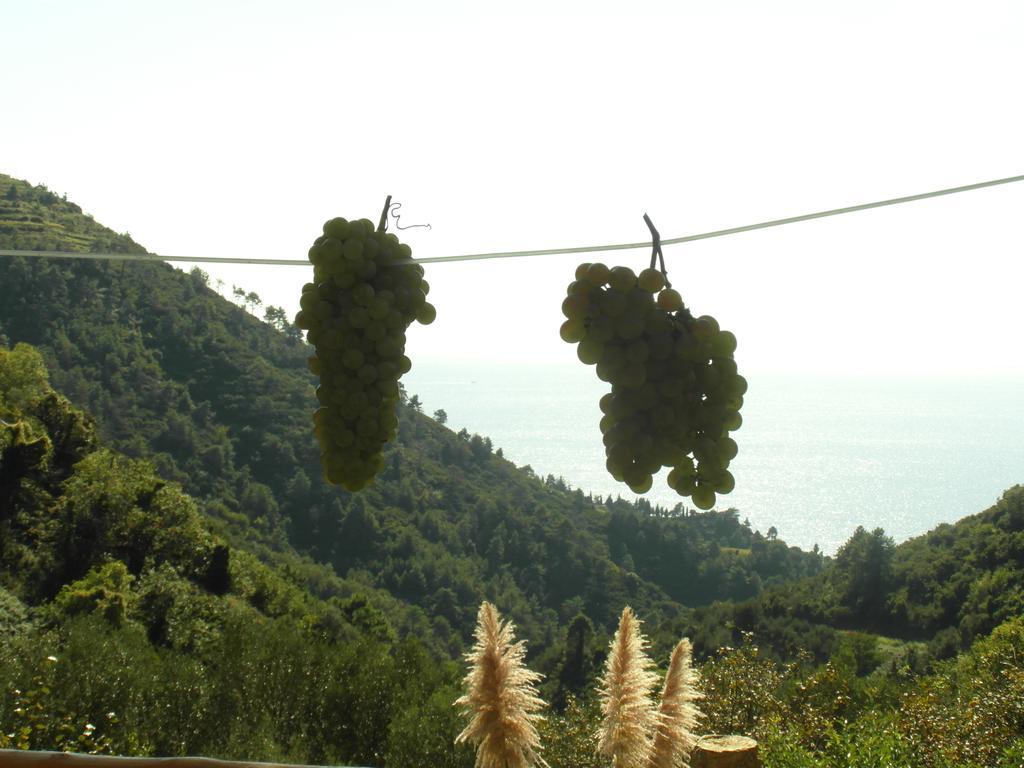 Agriturismo Costa Di Campo Villa Vernazza Kültér fotó