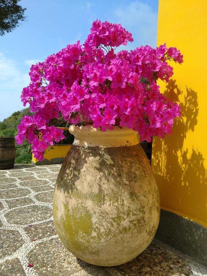 Agriturismo Costa Di Campo Villa Vernazza Kültér fotó