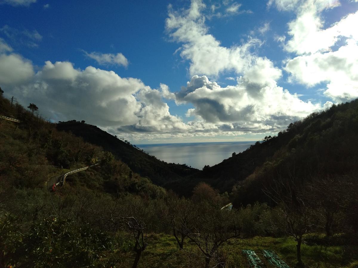 Agriturismo Costa Di Campo Villa Vernazza Kültér fotó