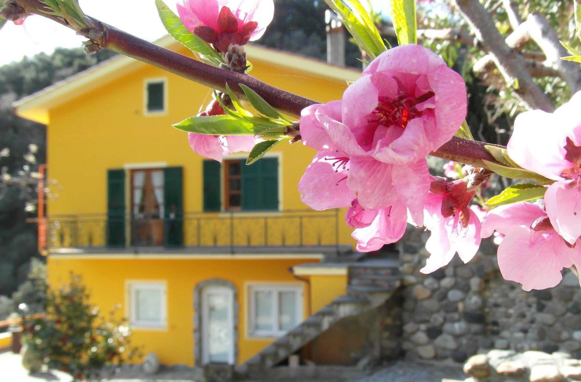 Agriturismo Costa Di Campo Villa Vernazza Kültér fotó