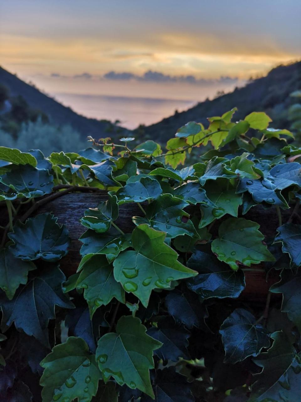 Agriturismo Costa Di Campo Villa Vernazza Kültér fotó