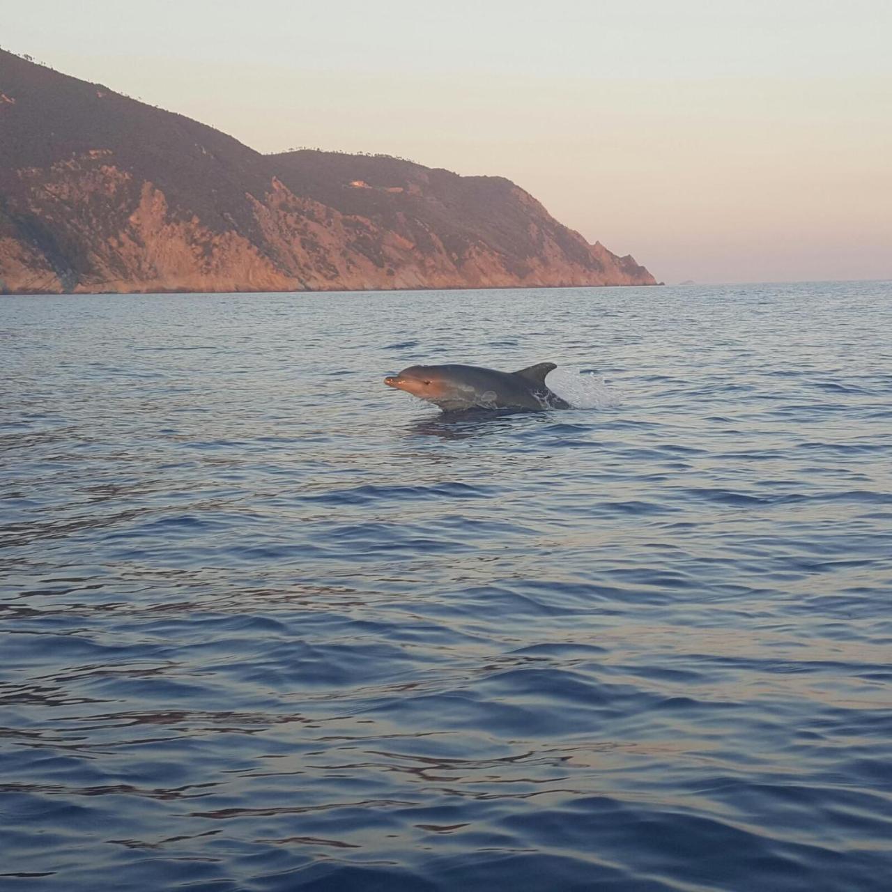 Agriturismo Costa Di Campo Villa Vernazza Kültér fotó