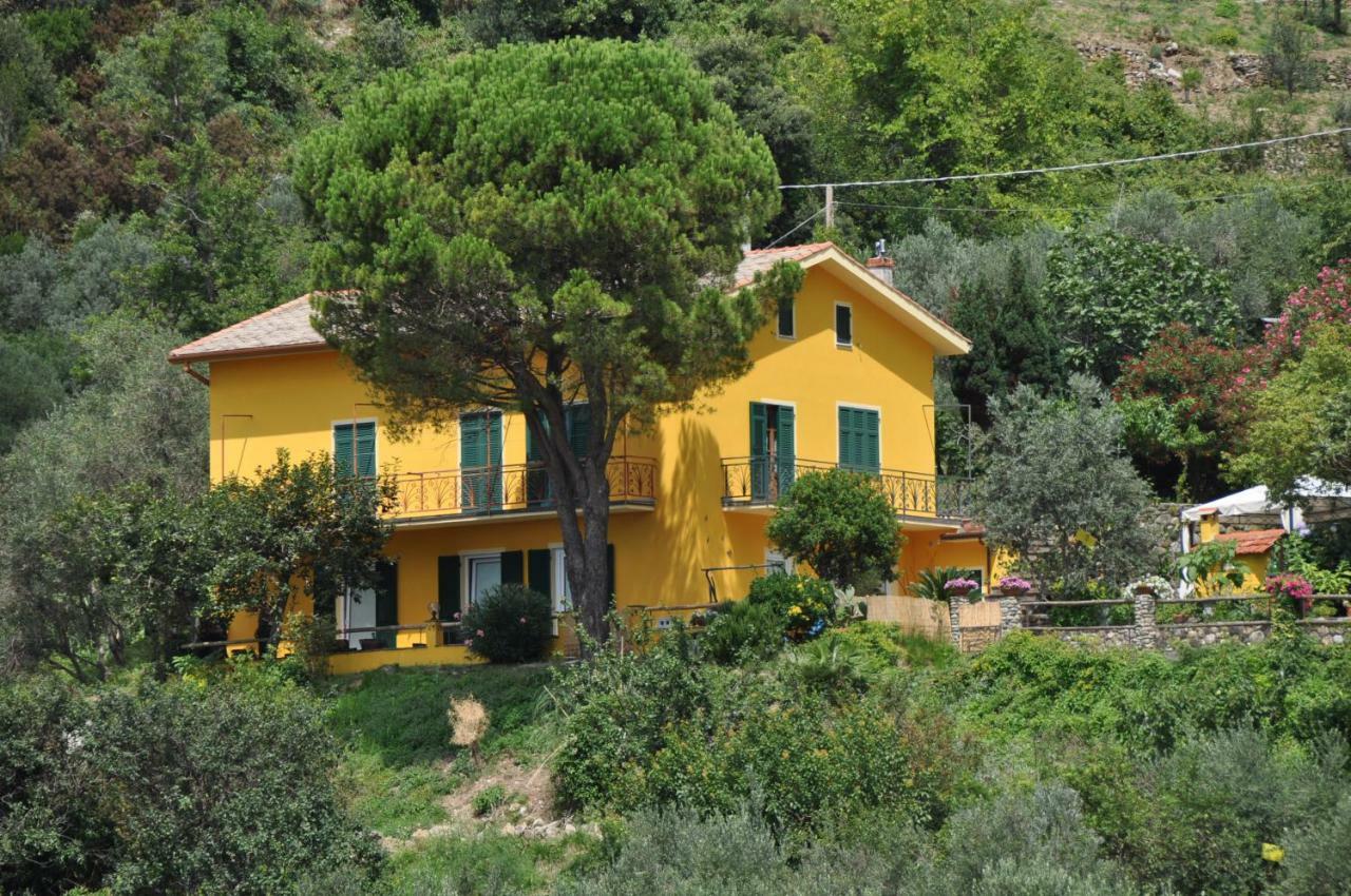 Agriturismo Costa Di Campo Villa Vernazza Kültér fotó