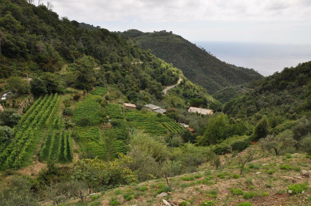 Agriturismo Costa Di Campo Villa Vernazza Kültér fotó