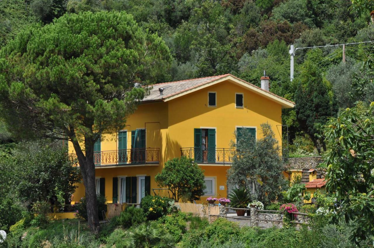 Agriturismo Costa Di Campo Villa Vernazza Kültér fotó